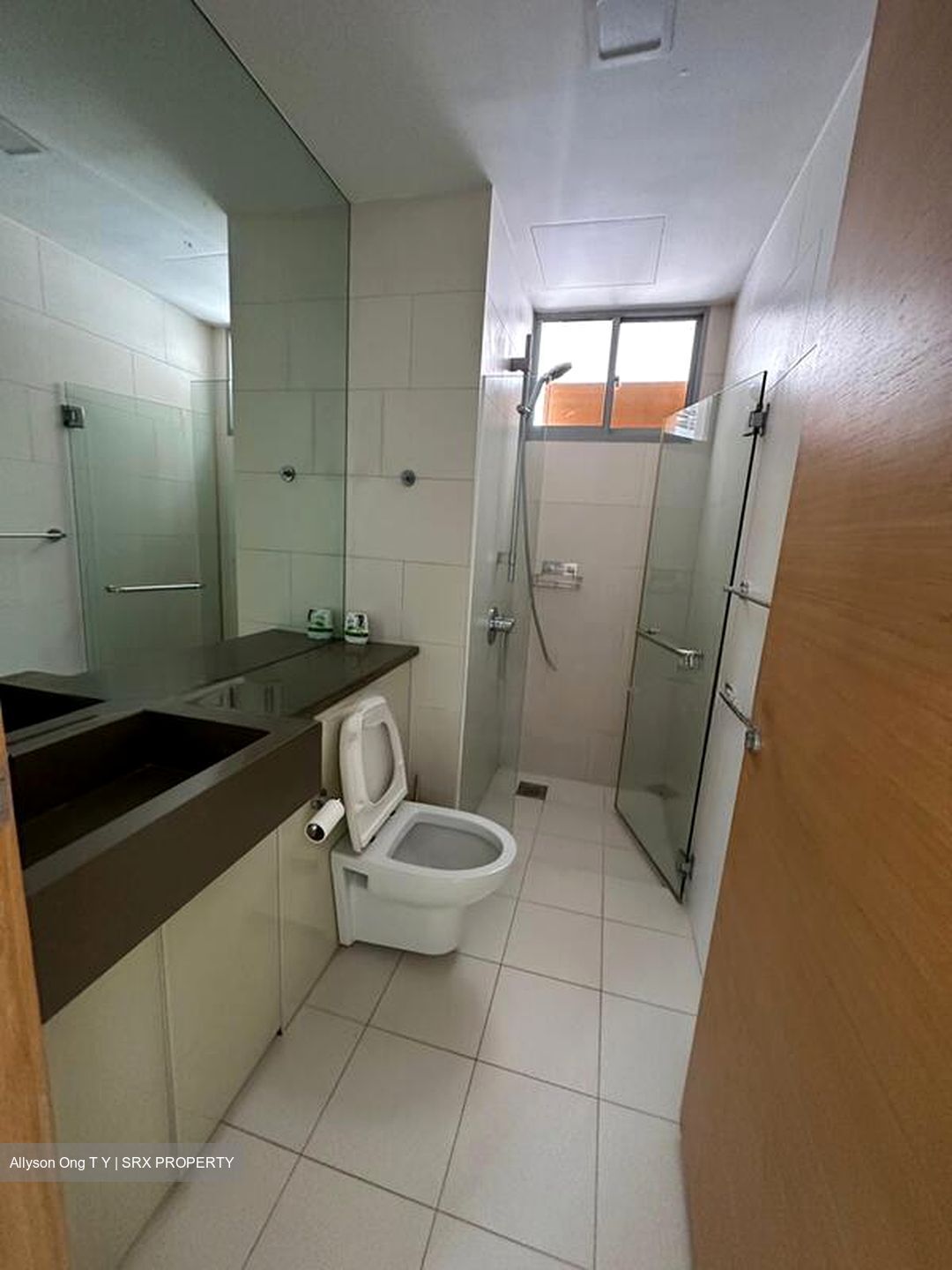 Pavilion 11 (D11), Condominium #499582781